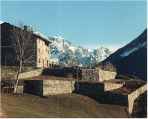Terrazzamenti.jpg (25521 byte)